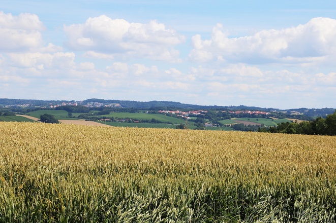 Ausblick auf der Tour