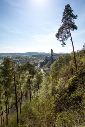 Blick auf die Burg Veldenstein