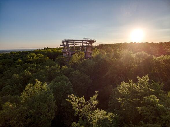 Baumwipfelpfad Steigerwald