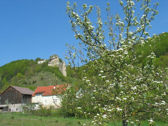 Blick zum Flügelsberg bei Riedenburg (Ortsteil Meihern)