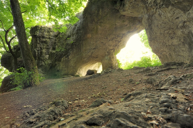 Aussichtspunkt Hohler Fels oberhalb vom Happurger Stausee