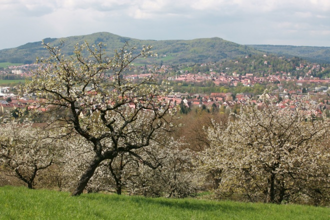 Blick von Ellenbach auf Hersbruck
