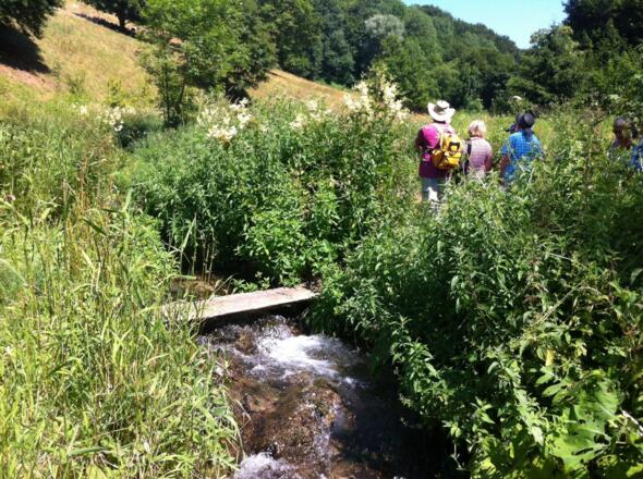 Im Wiesengrund über den Bach