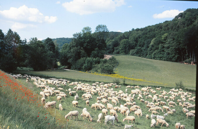 Trubachtal Egloffstein