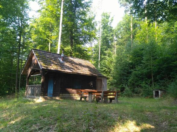 Montag, 23. Juli 2018 10:41:28 vorm.