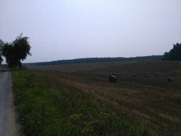 Montag, 23. Juli 2018 10:44:33 vorm.