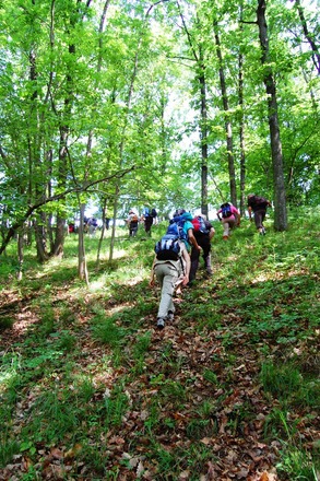 Wälder
