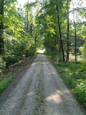 Montag, 23. Juli 2018 10:10:53 vorm.