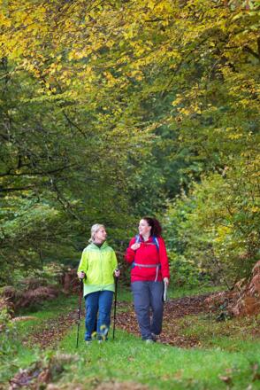 Wanderer im Spessart