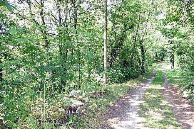 Weg zum Bismarck-Denkmal