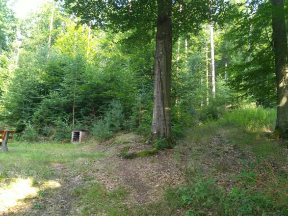 Trekkingplatz Pfaffenwiese