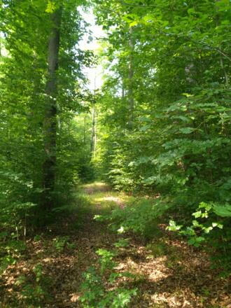 der Weg als Ziel