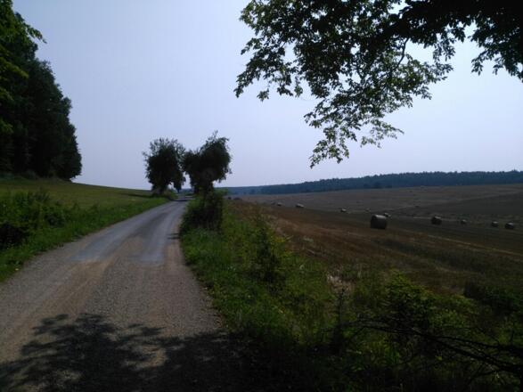 Montag, 23. Juli 2018 10:44:06 vorm.