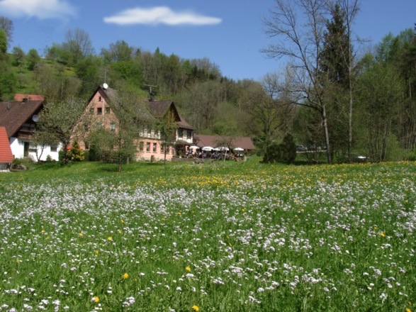Die Hertensteiner Mühle im stillen Rötelbachtal