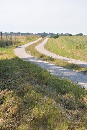 Auf dem Weg