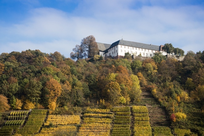 Etappe 5 von Klingenberg nach Großheubach