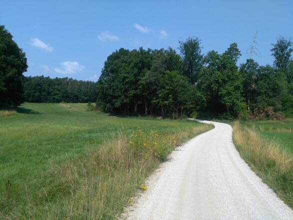 Montag, 23. Juli 2018 11:07:15 vorm.
