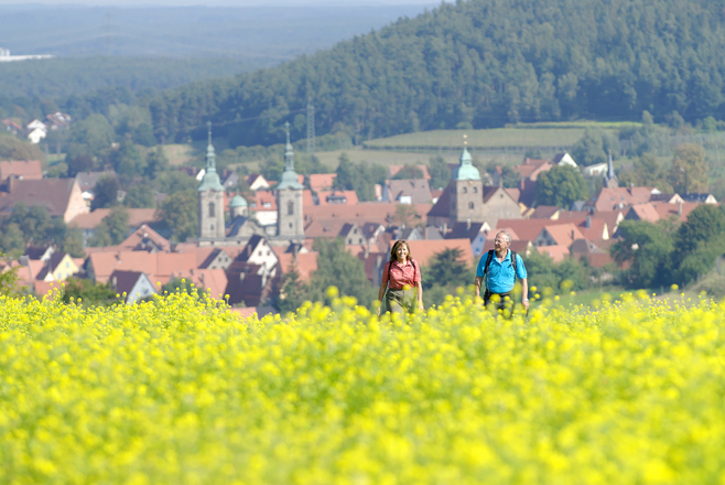 Wanderung bei Spalt vorbei an den Rapsfeldern.