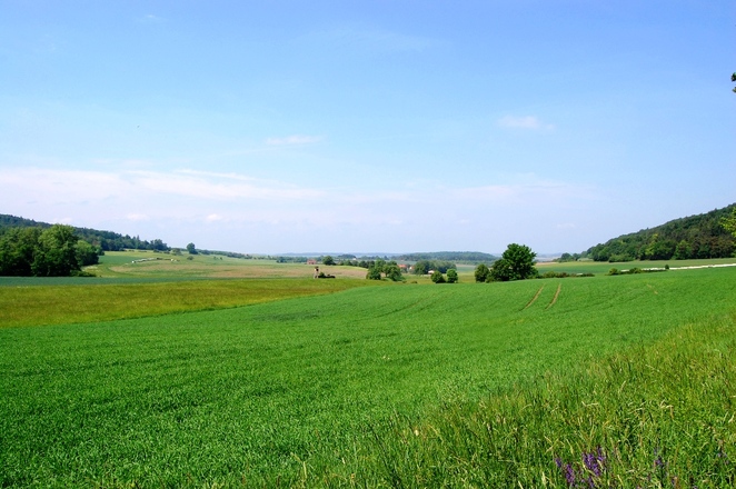 Wiesen und Äcker