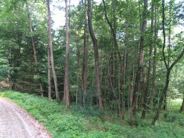 Montag, 23. Juli 2018 9:57:16 vorm.