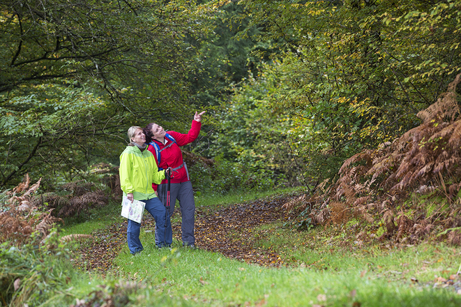 Wandern im RÄUBERLAND