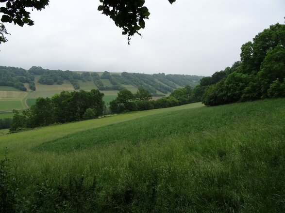 Blick in das Taubertal zwischen Tauberscheckenbach und Bettwar