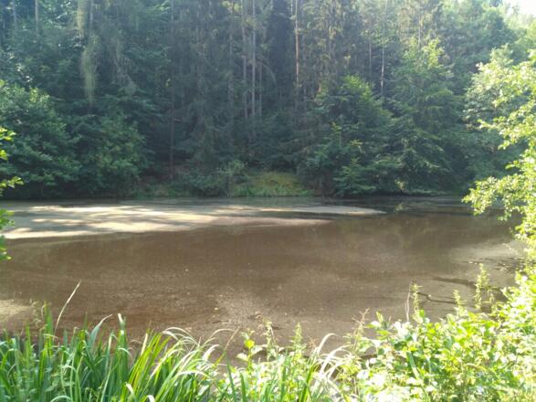 Montag, 23. Juli 2018 10:39:56 vorm.