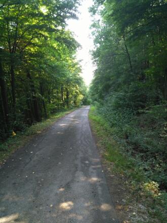 Montag, 23. Juli 2018 10:58:37 vorm.