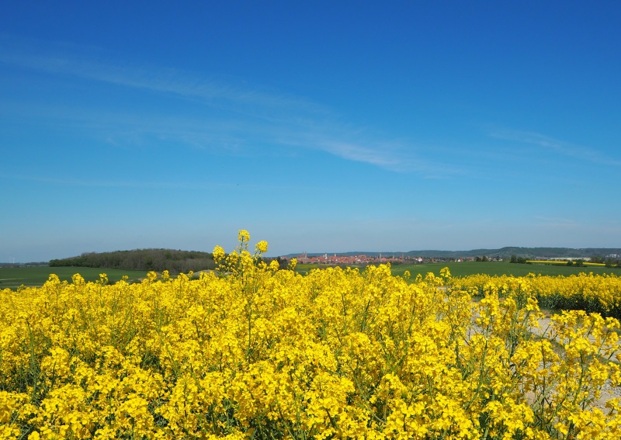 Blick auf Rothenburg