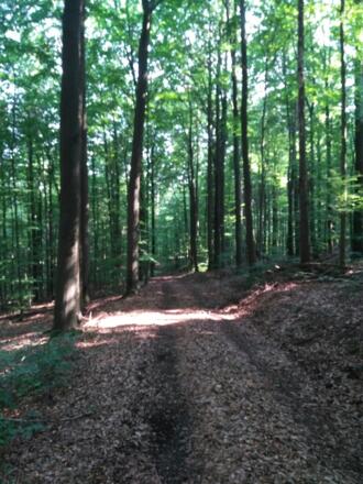 Montag, 23. Juli 2018 10:32:18 vorm.