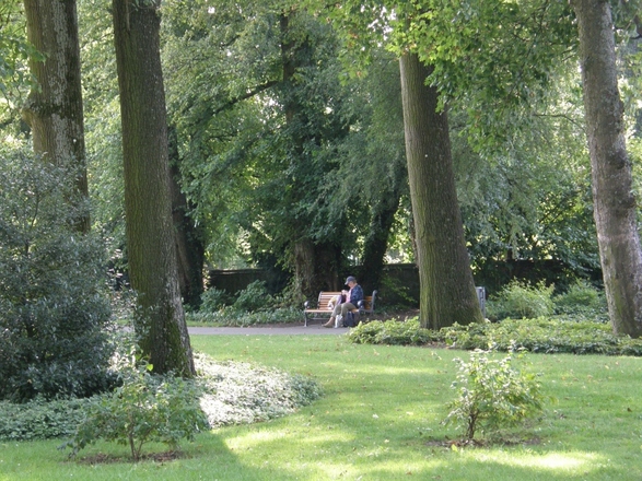 Bad Rappenau Schlosspark - Arboretum