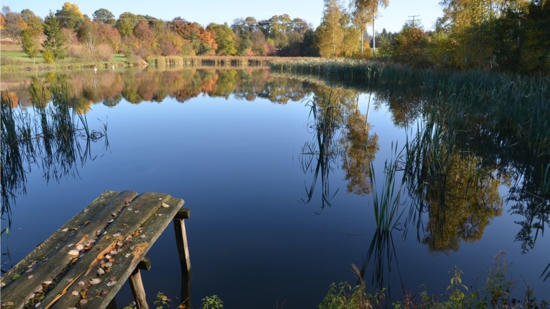Weiher bei Dinkelsbühl