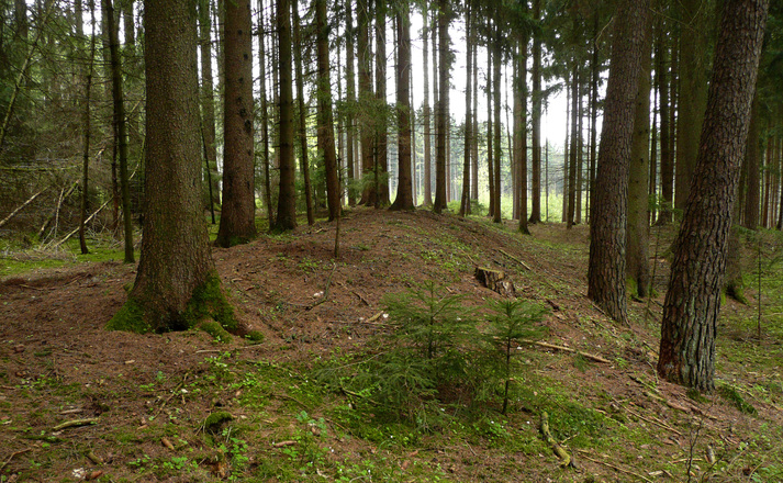 Schleifenroute - Keltische Viereckschanze bei Möckenlohe