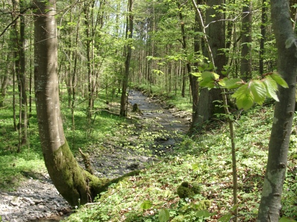 Herrliche Wanderwege....