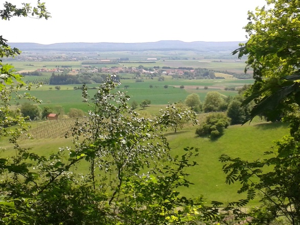 Aussichtpunkt auf der TraumRunde Iphofen