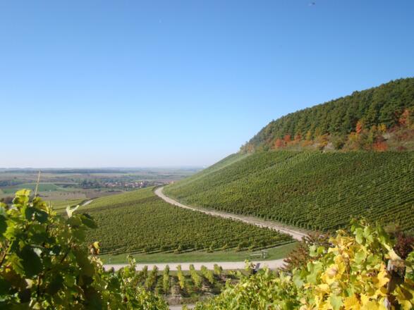 Bullenheimer Paradies