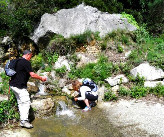 Pilgern - Erfrischung am Wegrand