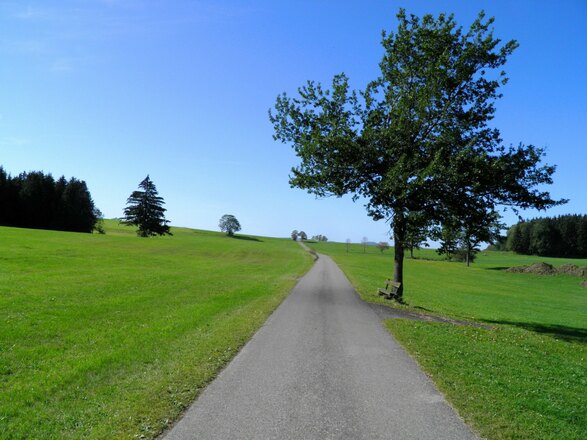 geradeaus bis Betzenried