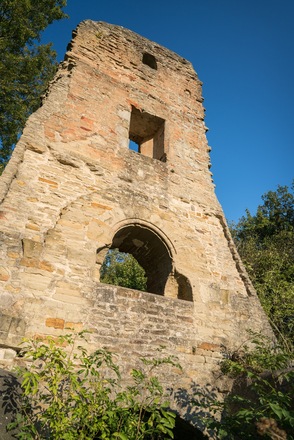 Ruine Speckfeld