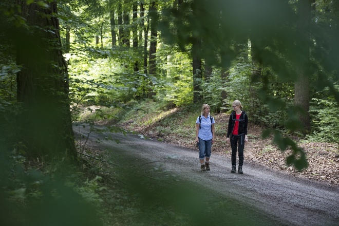 Wandern im Spessart