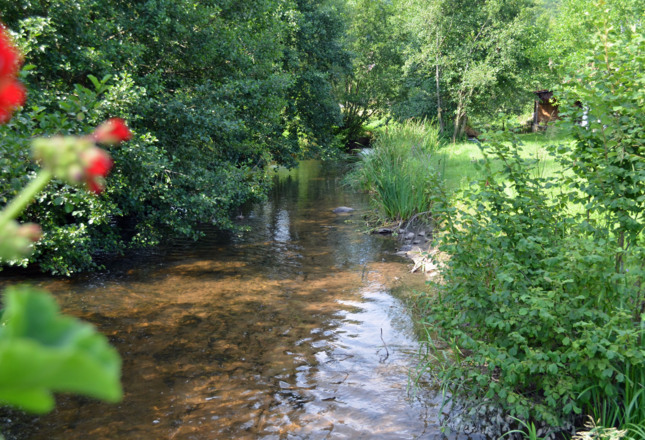 Idylle im Spessart