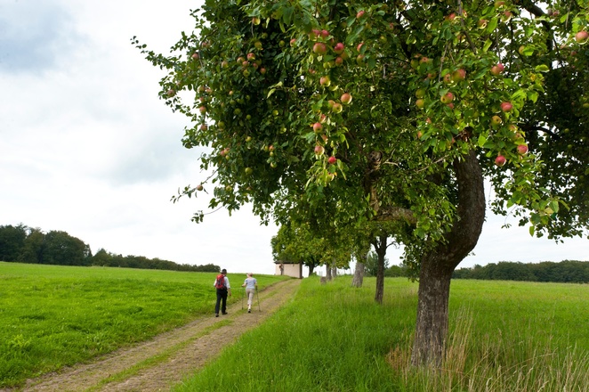 Richtung Herrnbildkapelle Hessenthal