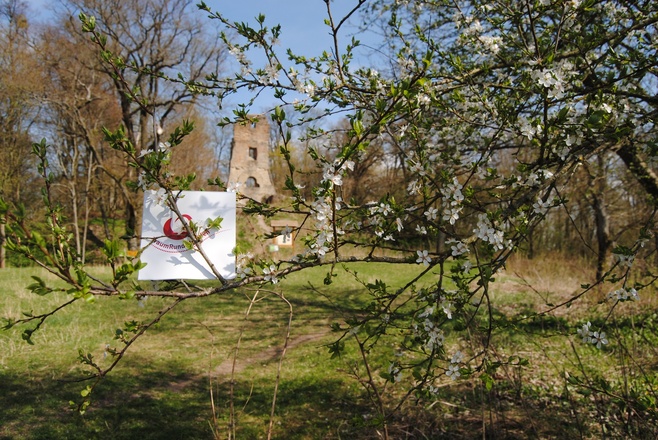 Idyllischer Rastplatz an der Ruine