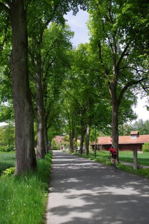 7SchwTour_WellenburgerAllee