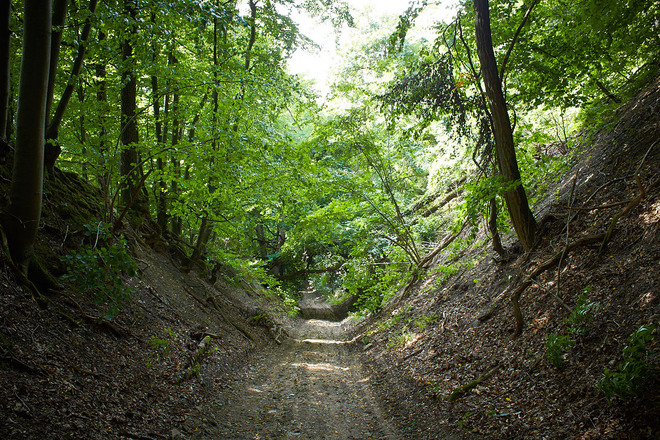 Wanderweg