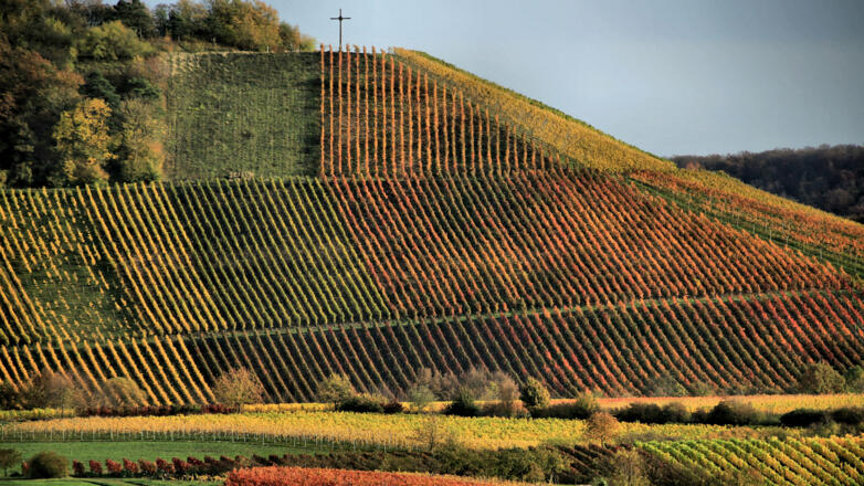 Hüttenheimer Tannenberg