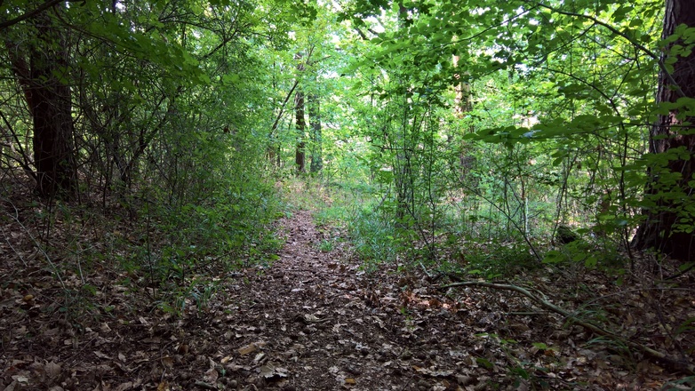 Abstieg nach Gräfenneusess