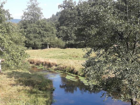 Blick ins Hafenlohrtal