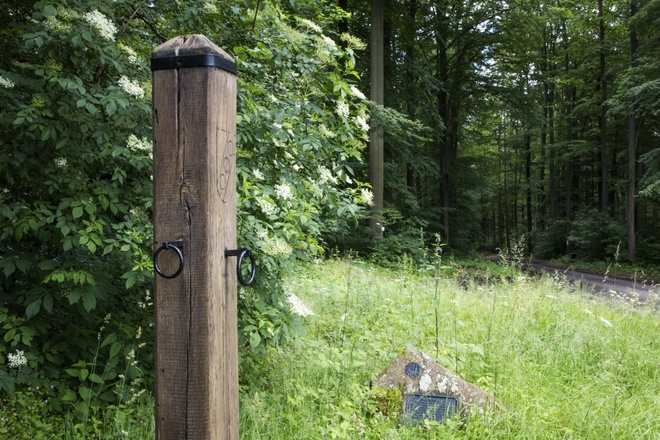 Sagenumwogen Echertspfahl