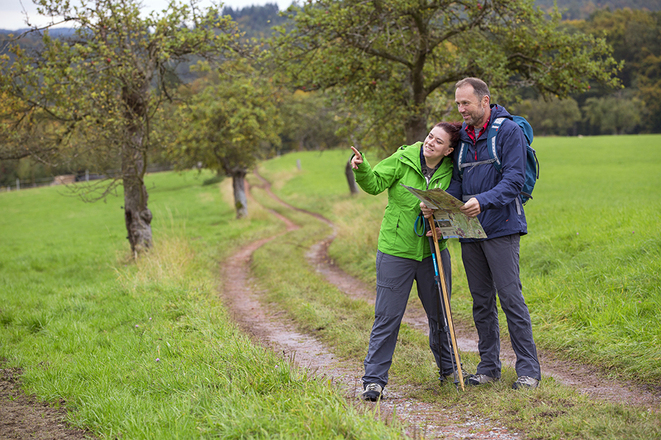 Wiesen am Heimathenhof - herrliche Fernsicht
